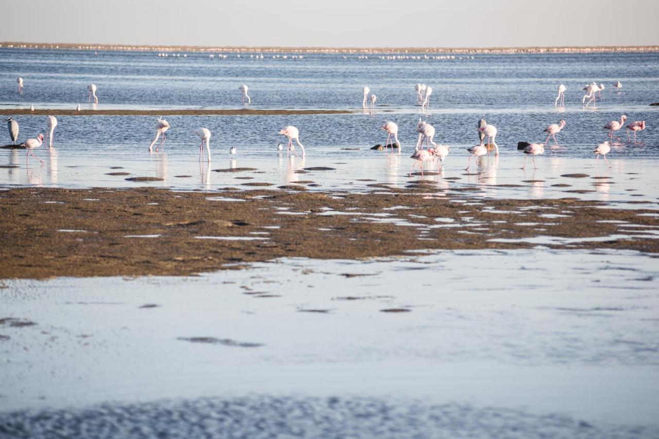 Flamingo Villas Boutique Hotel ولفس بي المظهر الخارجي الصورة